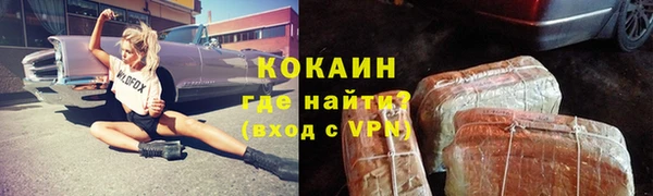 индика Богданович