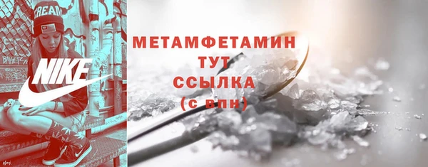 индика Богданович