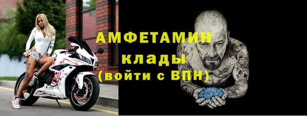 индика Богданович