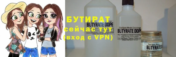 индика Богданович