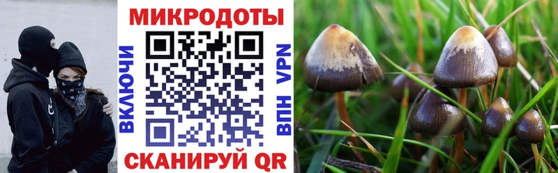 Галлюциногенные грибы мухоморы  Шумерля 